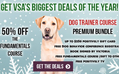 2022 Holiday Deals Now Available!