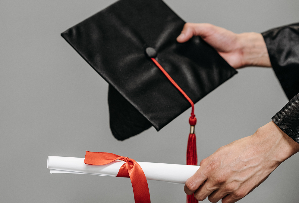 Is There a Degree for Dog Training?