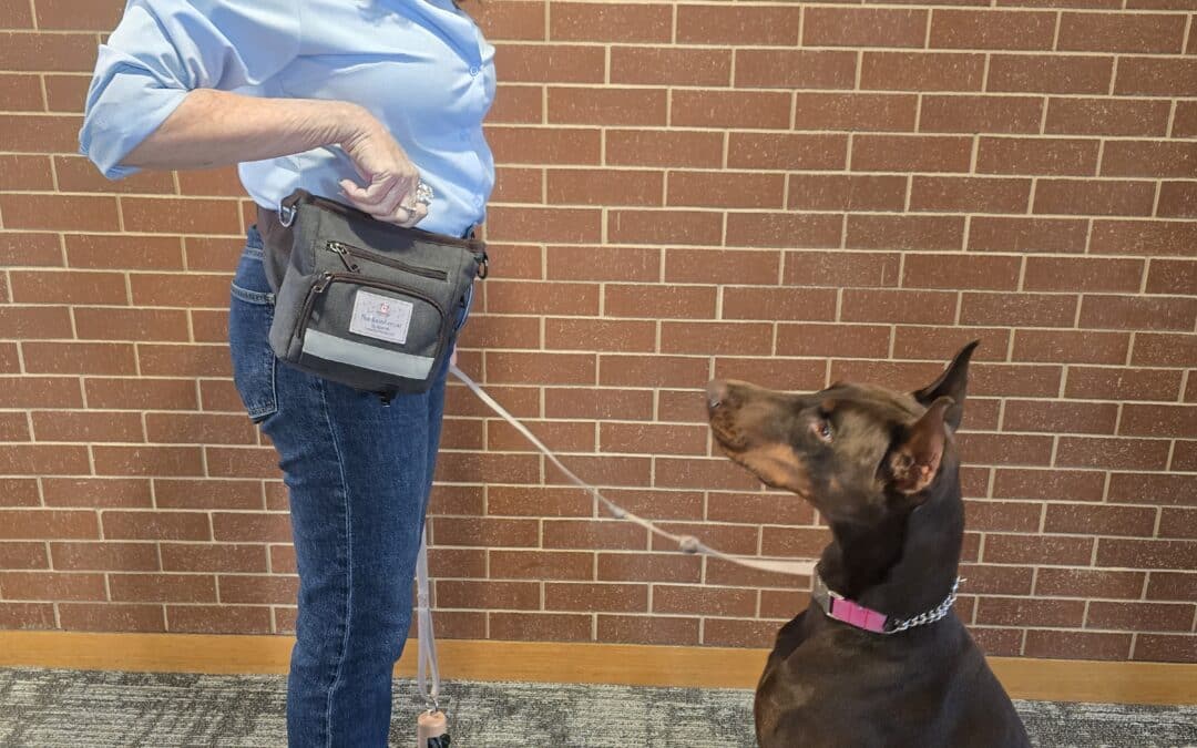 Elisa Segal: Working with Dogs by Design