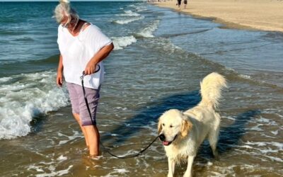 Jutta Koch: Finding Joy Through a Career with Dogs