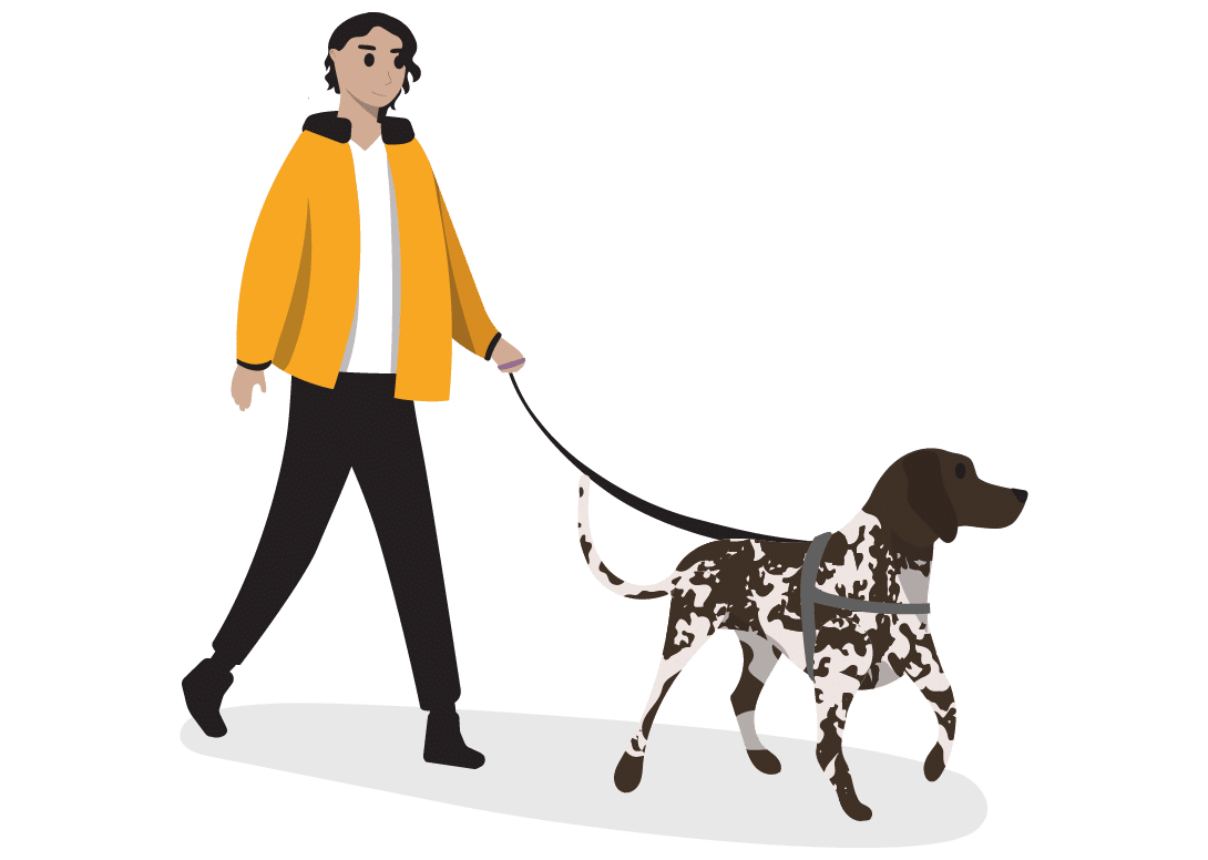 Putting dog training all together