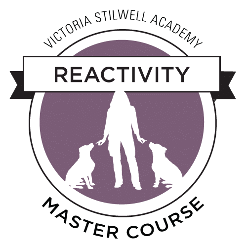 Reactivity Master Course logo
