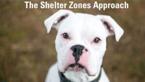 Shelter Zones Approach Lesson 1 thumbnail