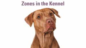 Shelter Zones Approach Lesson 2 thumbnail