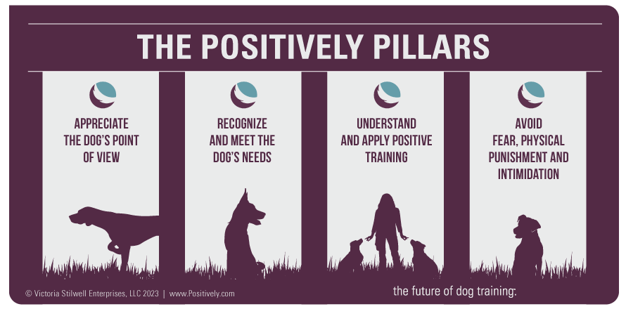 positively_pillars_sep-4full-890px