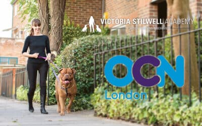 Why VSA Chose Accreditation with Open College Network London